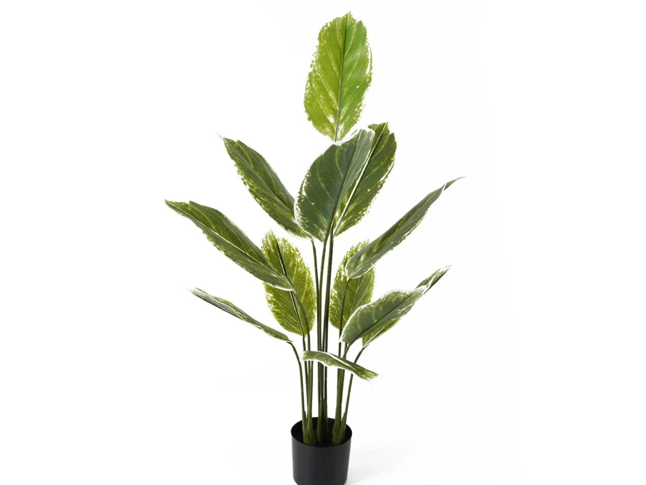 Artificial plant Calathea large