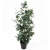 Artificial plant Eucalyptus Leaf large