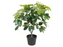 Artificial plant Shefflera green