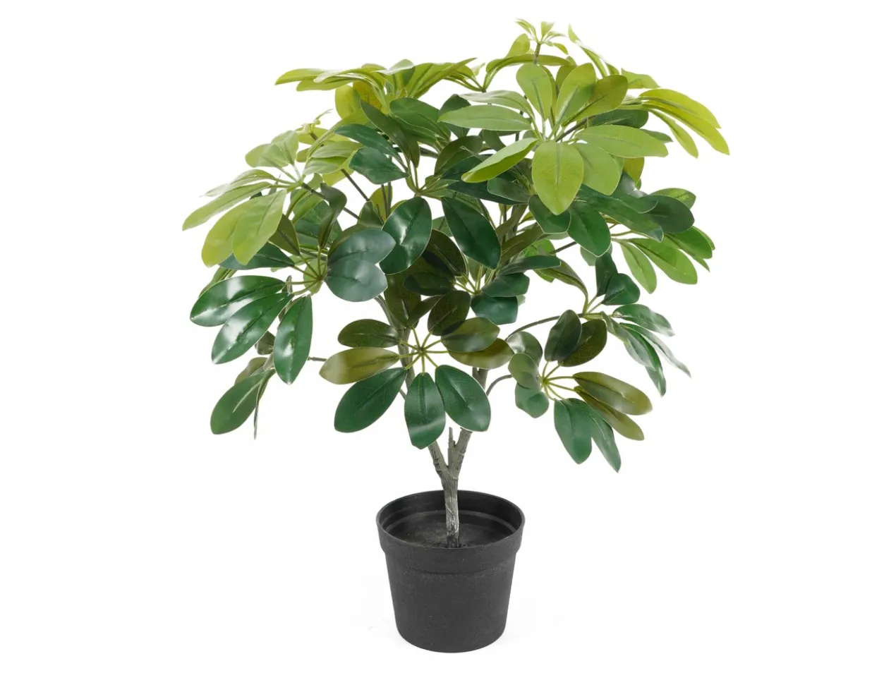 Artificial plant Shefflera green
