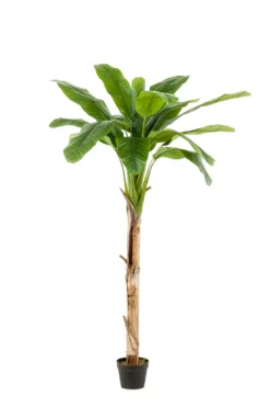 Bananen kunstplant 180 cm