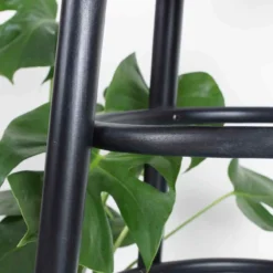 Barkruk Lauren houten H75 cm zwart
