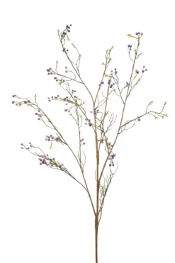 Berry branch purple