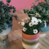 Bloempot Retro rosefield