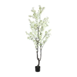Blossom tree