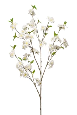 Cherry blossom
