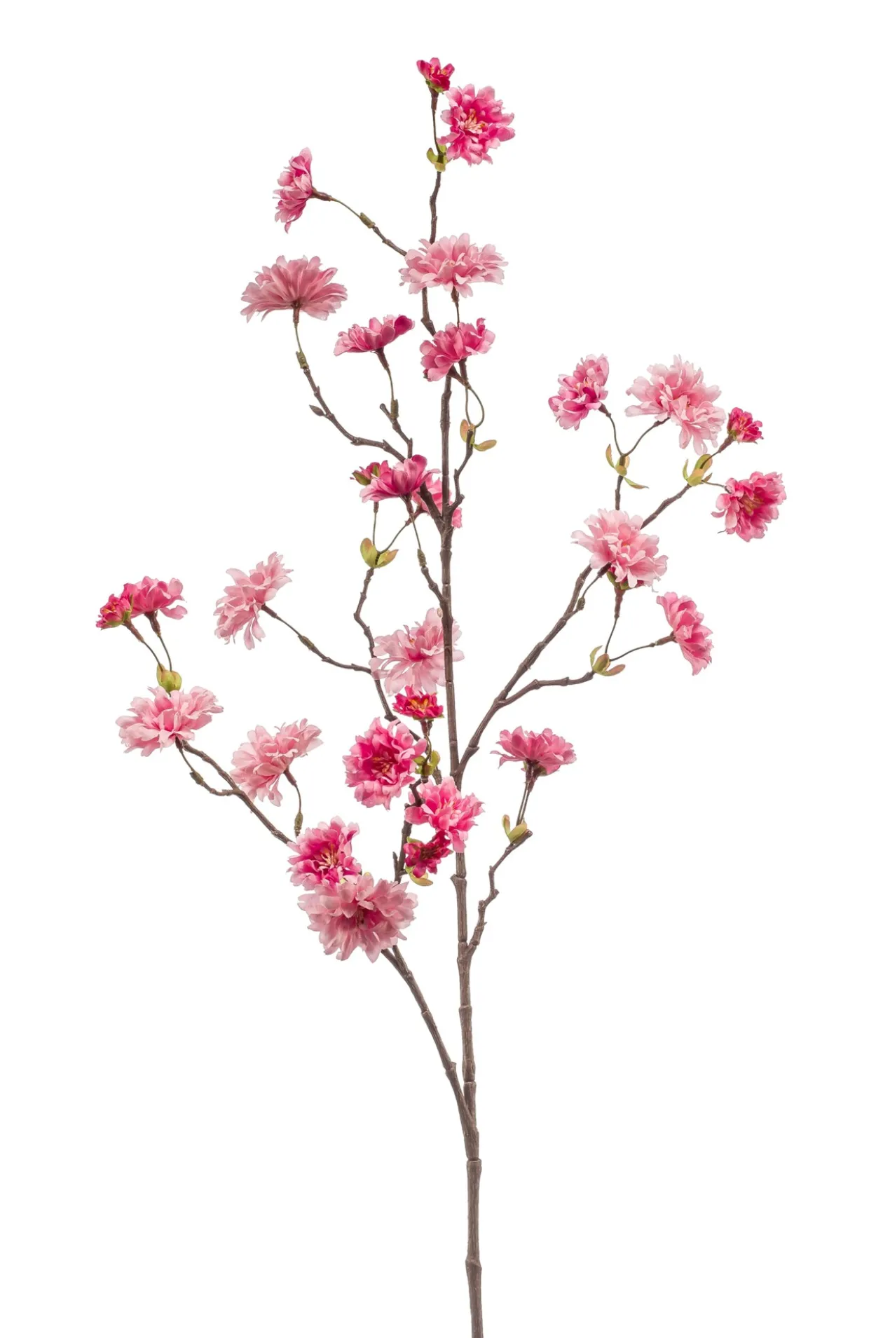 Cherry blossom spray pink