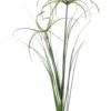 Cyperus spray 65 cm