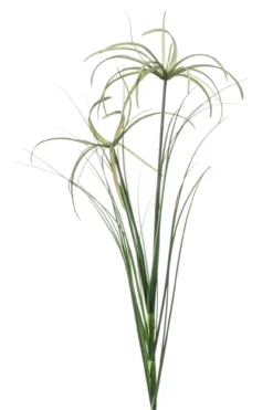 Cyperus spray 65 cm