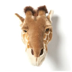 Dierenkop Giraffe