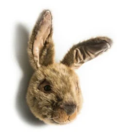 Dierenkop haas
