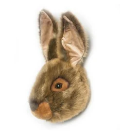 Dierenkop haas