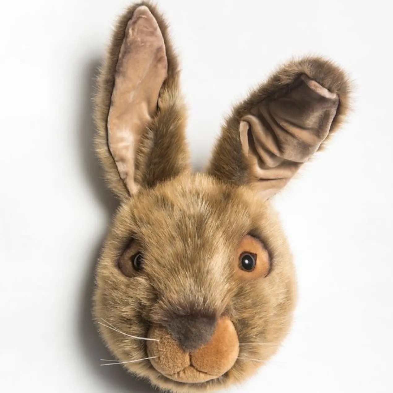 Dierenkop haas