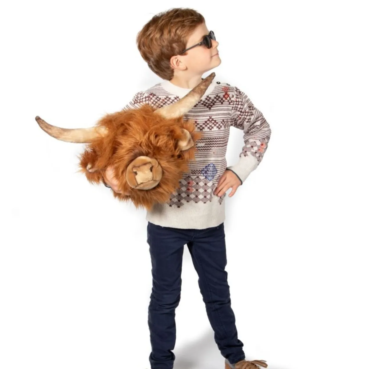 Dierenkop schotse hooglander