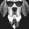 Dog with sunglasses- 3 – Canvas schilderij 100 x 150 cm