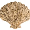 Driftwood wanddecoratie / wandpaneel Schelp