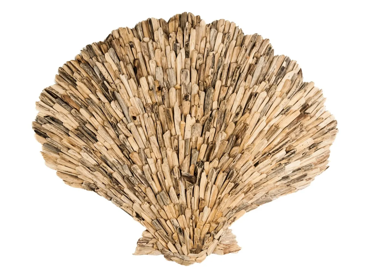 Driftwood wanddecoratie / wandpaneel Schelp