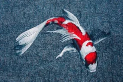 Ecorugs vloerkleed Koi multicolor blauw 240x340 cm