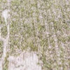 Ecorugs vloerkleed Sakura wet garden 170x240 cm