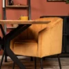 Eetkamerstoel Sanne Fauteuil Sanne Groen