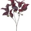 Eucalyptus spray burgundy