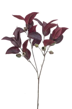 Eucalyptus spray burgundy