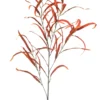 Eucalyptus spray orange