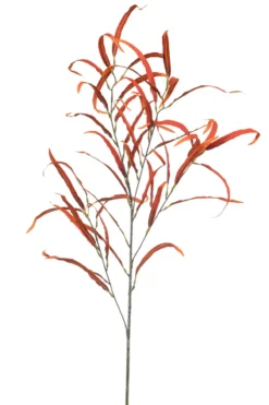 Eucalyptus spray orange