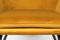 Fauteuil Bon velvet Goud