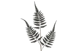 Fern branch artificial 100 cm