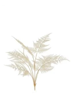 Fern garden creme