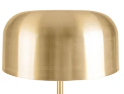 Floor Lamp Capa metal matt brushed gold
