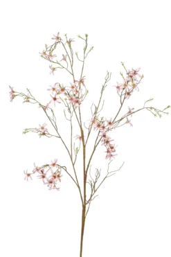 Forsythia branch pink