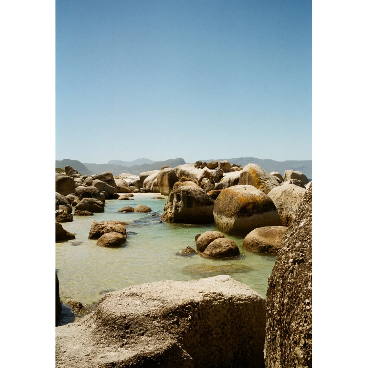 Foto op plexiglas Penguin beach 148 x 98 cm