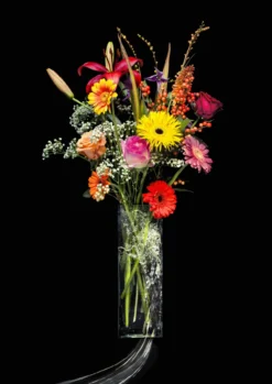 Foto op plexiglas Splash 80 x 120 cm