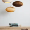 Hanglamp Scraplight Disc20 natural
