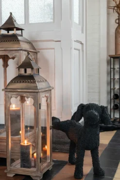 Hond Max Poly Zwart set van 2