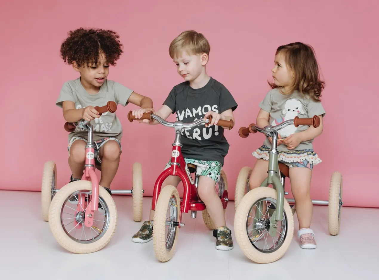 2-in-1-loopfiets Trybike set pink
