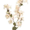 Jasmine branch cream