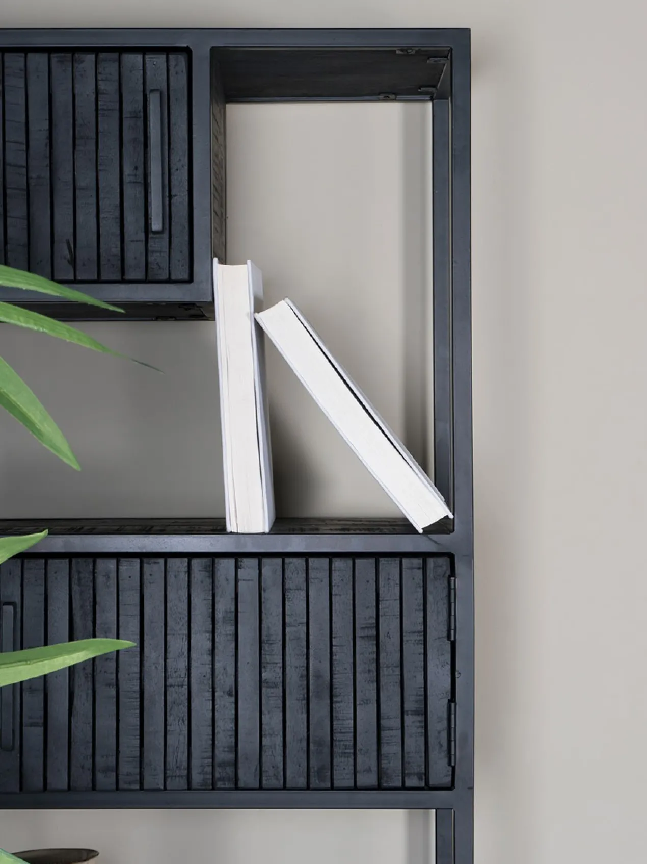 Kast Loek 210 x 80 cm - zwart Mangohout