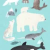 Kinderkamer poster Jungle Poster pooldieren
