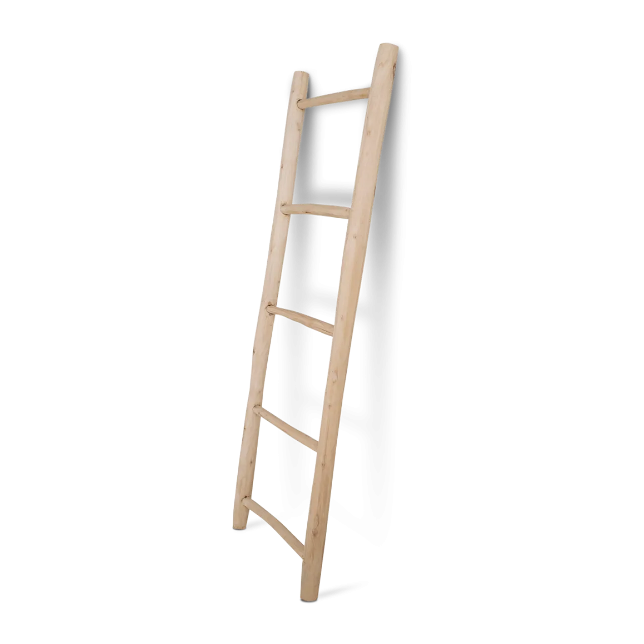 Ladder Thea teakhout Bruin