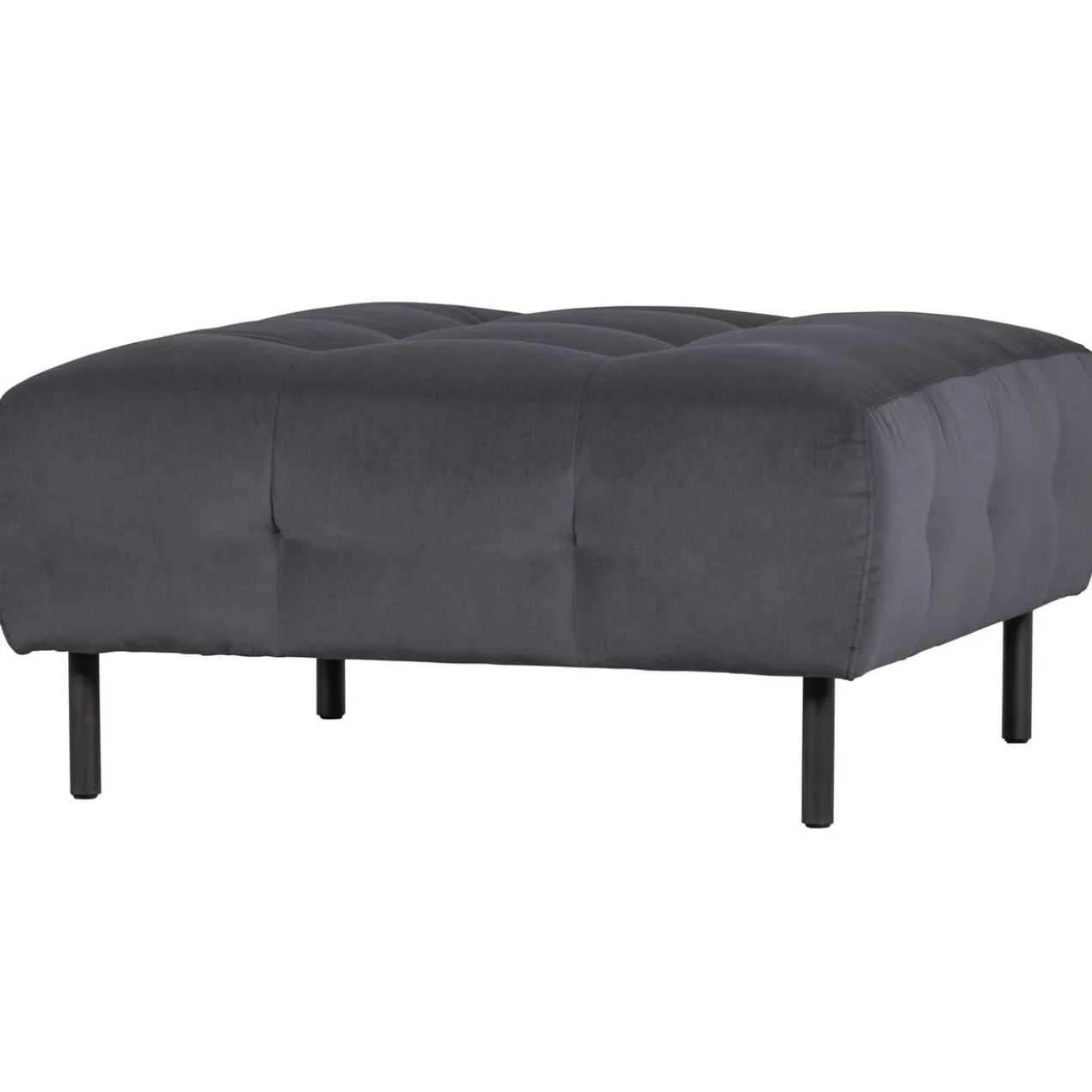 Lloyd hocker velvet wolk