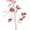 Lunaria glamour pink