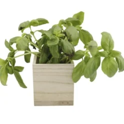 Magneetbakje hout naturel