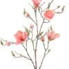 Magnolia branch