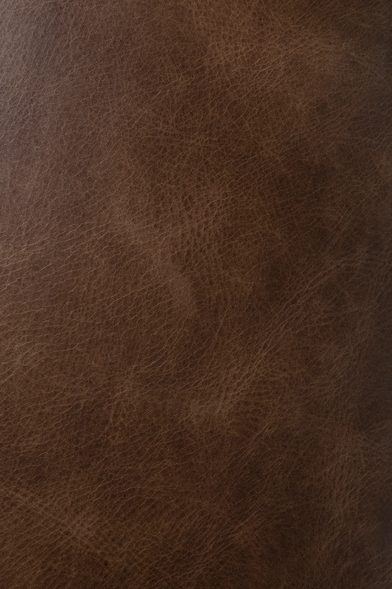 Modulaire bank N701 - chestnut - 1 seat