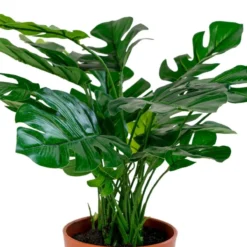 Monstera kunstplant Denise (45 cm) Kamerplant