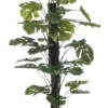 Monstera on pole 120 cm