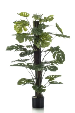 Monstera on pole 120 cm